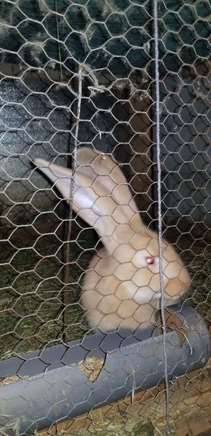  - 000 poze noi iunie 2019