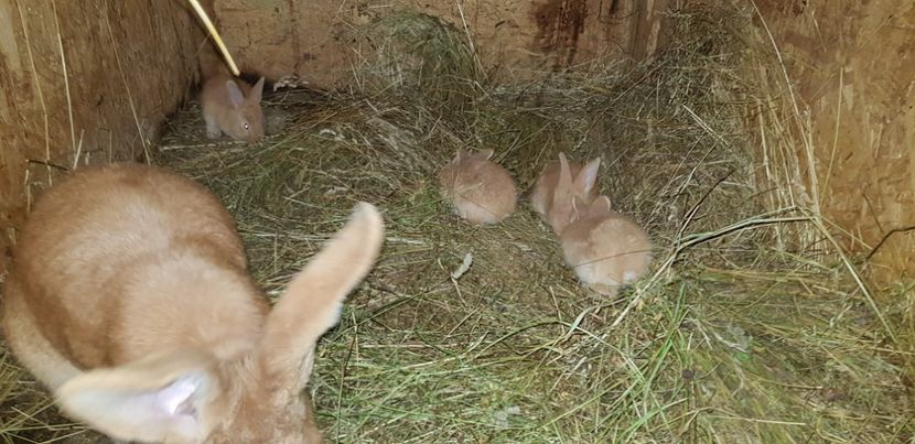  - 000 poze noi iunie 2019