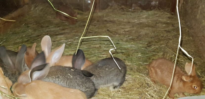  - 000 poze noi iunie 2019