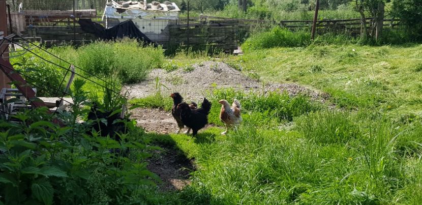  - 000 poze noi iunie 2019