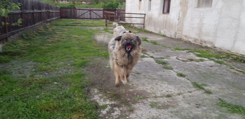 20190525_203149(0) - 000 poze noi iunie 2019