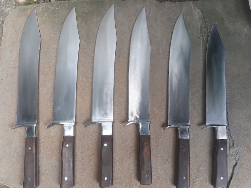  - Cutite pentru carnuit - transat Iunie 2019