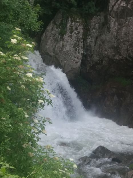  - La iarbă verde în iunie 2019