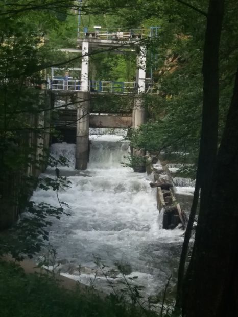  - La iarbă verde în iunie 2019