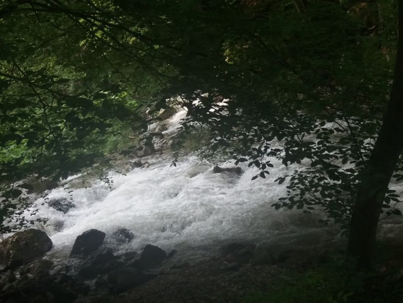  - La iarbă verde în iunie 2019