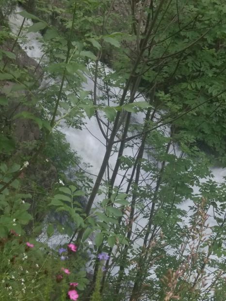  - La iarbă verde în iunie 2019