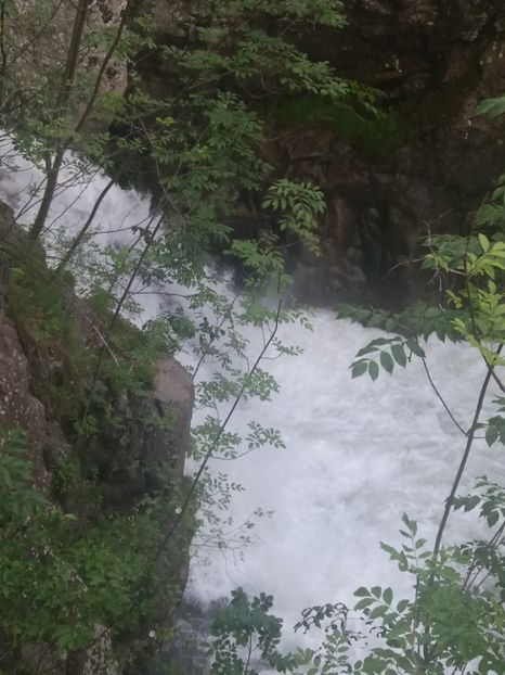  - La iarbă verde în iunie 2019