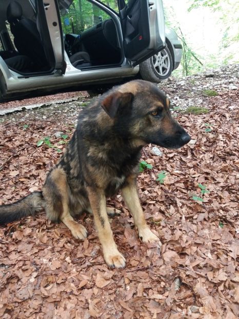  - La iarbă verde în iunie 2019