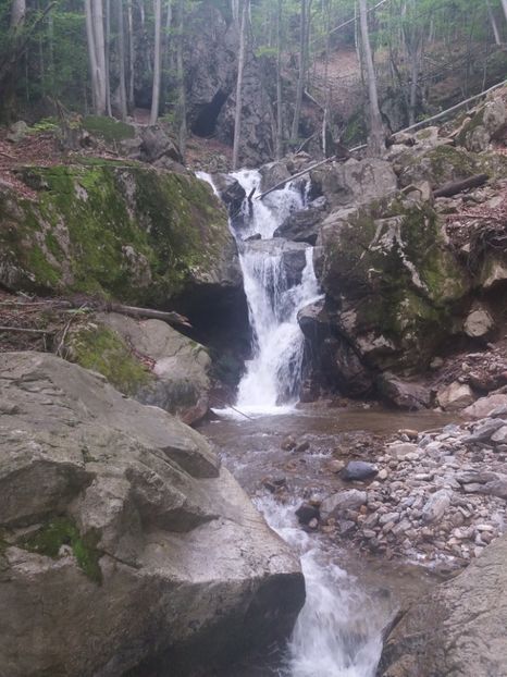  - La iarbă verde în iunie 2019