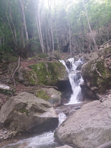  - La iarbă verde în iunie 2019