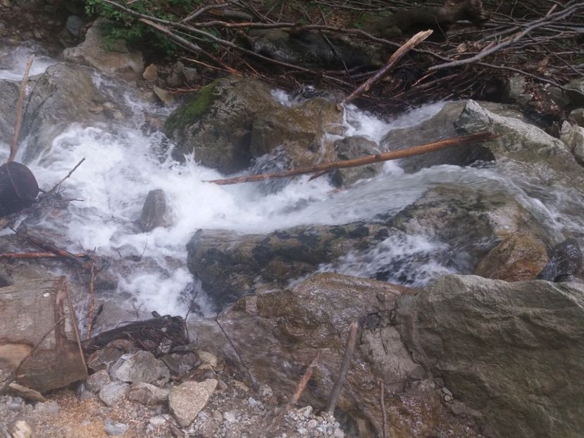  - La iarbă verde în iunie 2019