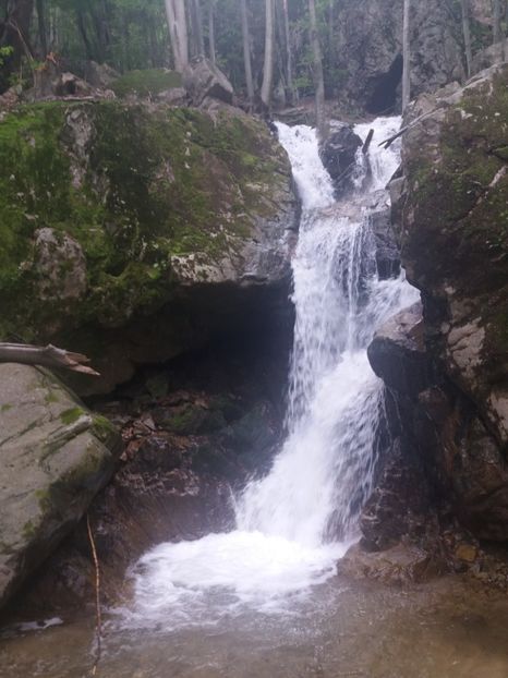  - La iarbă verde în iunie 2019