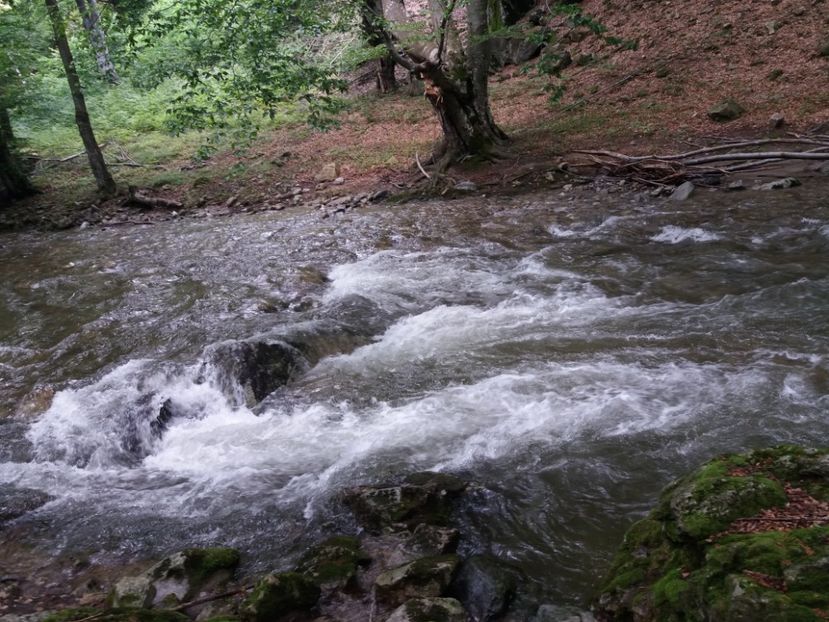  - La iarbă verde în iunie 2019