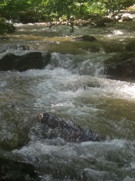  - La iarbă verde în iunie 2019