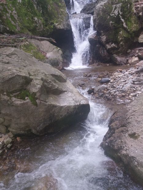  - La iarbă verde în iunie 2019