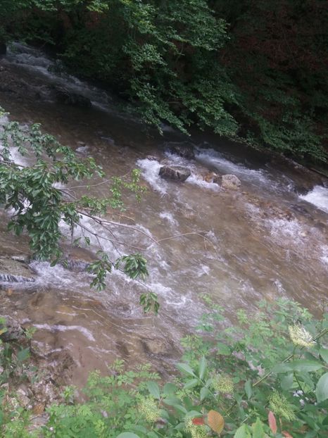 - La iarbă verde în iunie 2019