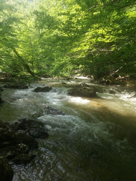  - La iarbă verde în iunie 2019