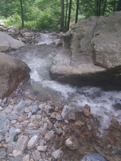  - La iarbă verde în iunie 2019