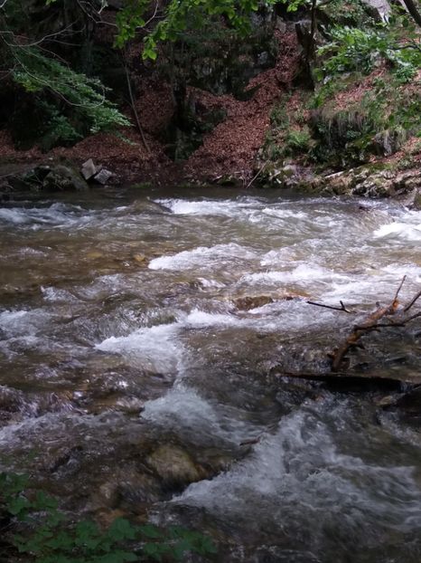  - La iarbă verde în iunie 2019