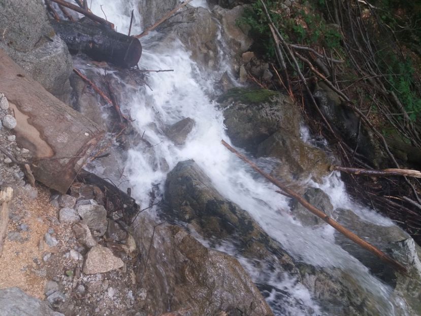  - La iarbă verde în iunie 2019