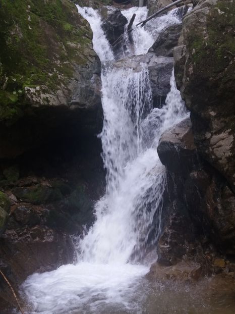  - La iarbă verde în iunie 2019