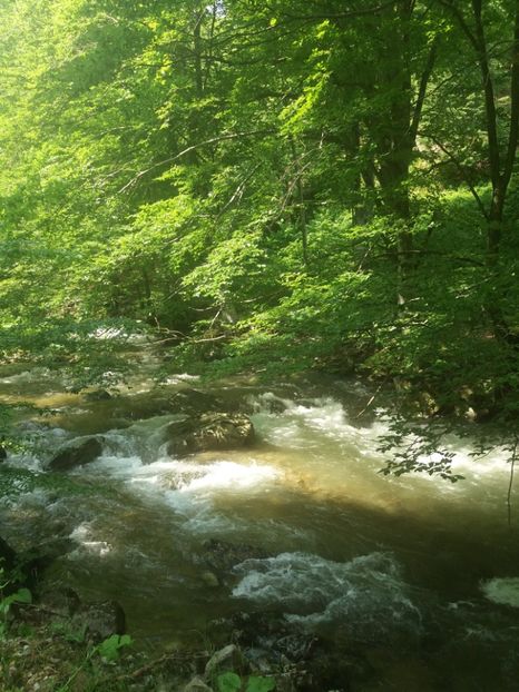  - La iarbă verde în iunie 2019