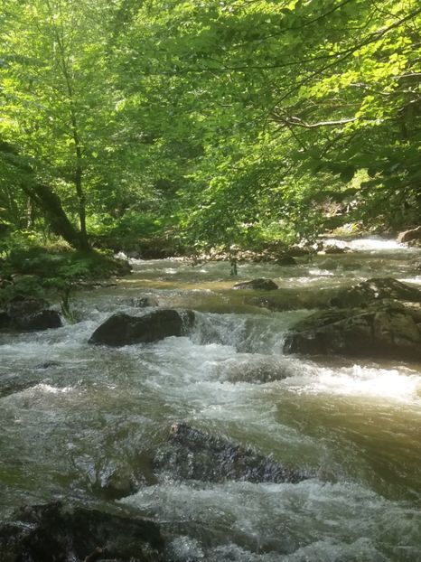  - La iarbă verde în iunie 2019