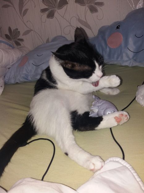  - Duracel în iunie 2019