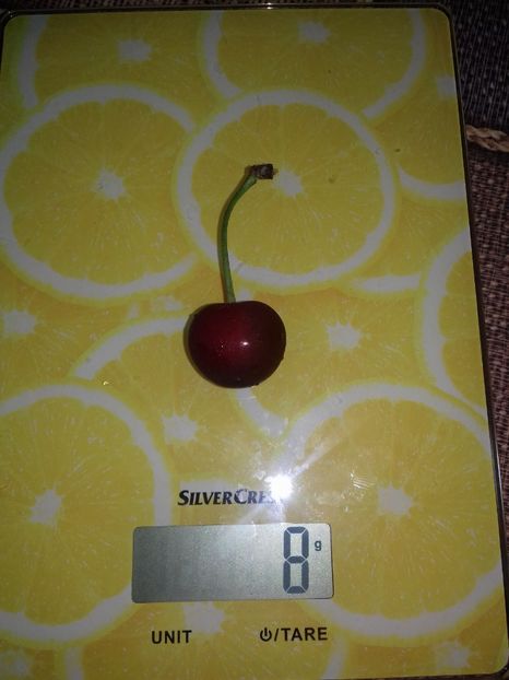 Visin a doua decada a lui iunie , 8 gr , la Claudia - Visini