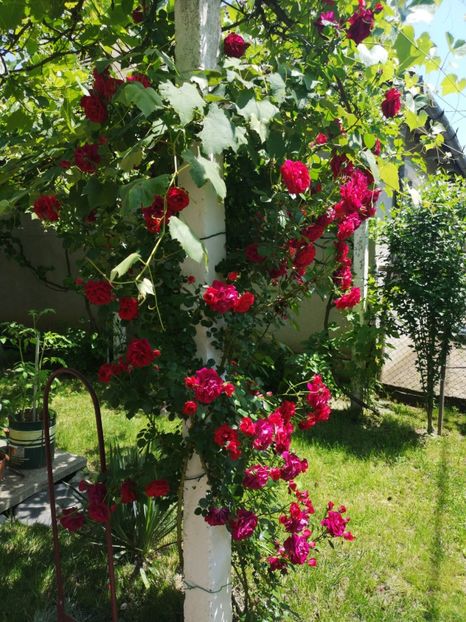 IMG-20190610-WA0000 - vara 2019