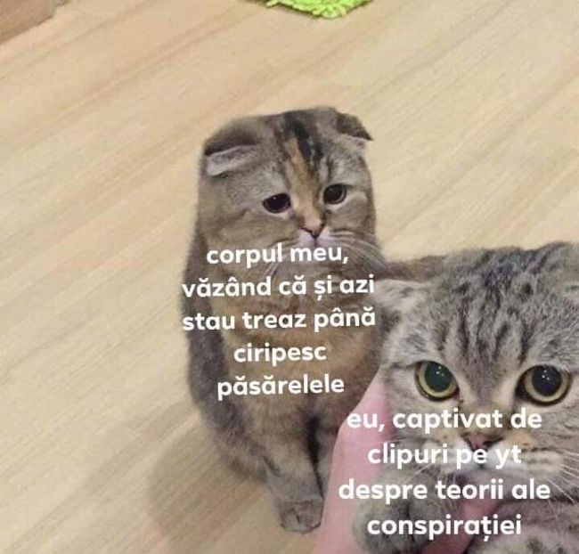  - it s just a game we do