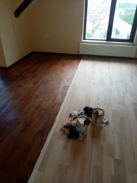  - 2019 Parchet Montat