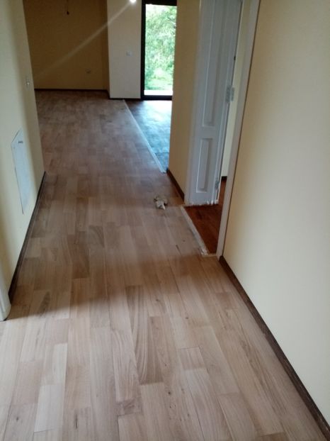  - 2019 Parchet Montat