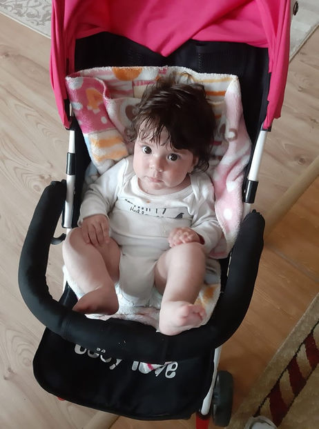  - 0000 DENISA