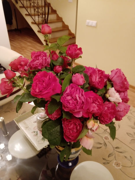  - Gradina iunie 2019