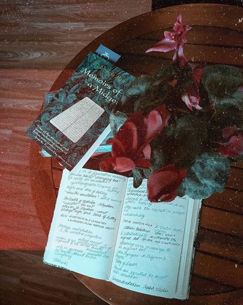  - Pilgrimages into the flower world