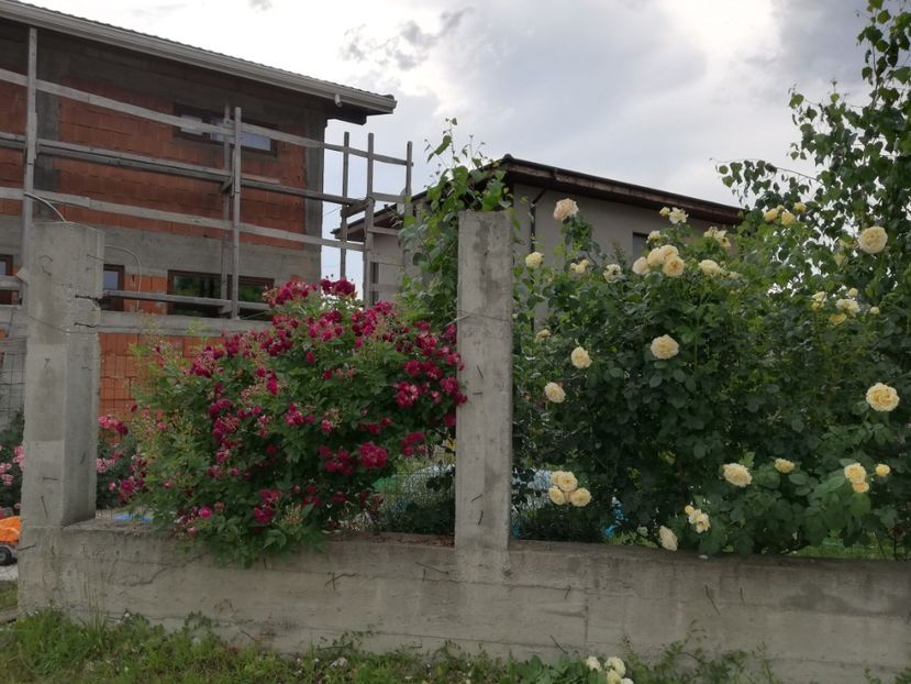  - Cyrano de Bergerac