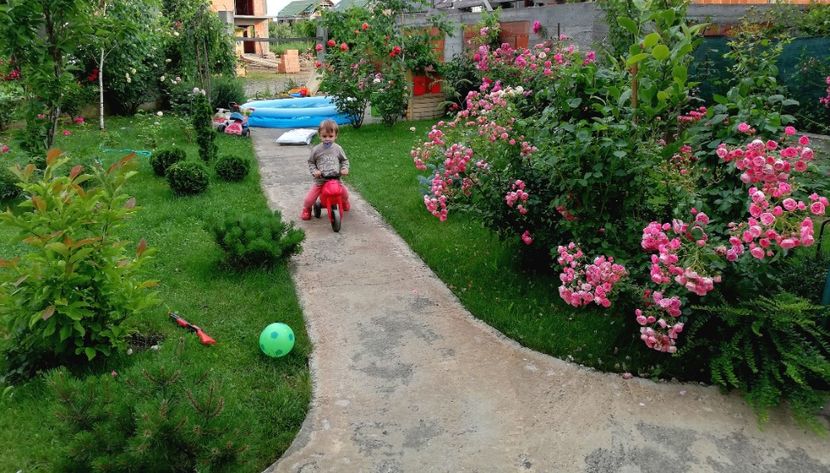  - AA - In  gradina mea
