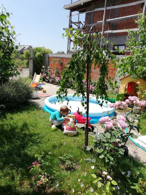  - AA - In  gradina mea