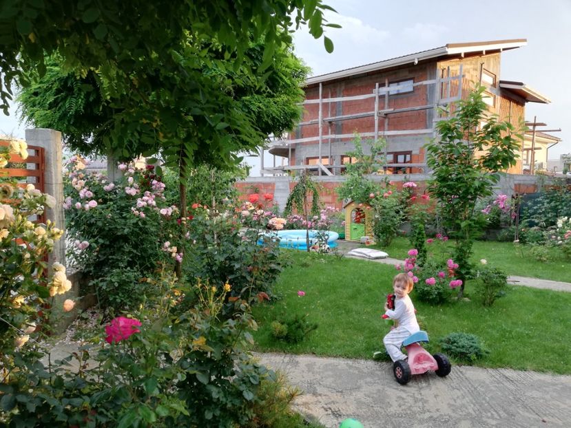  - AA - In  gradina mea
