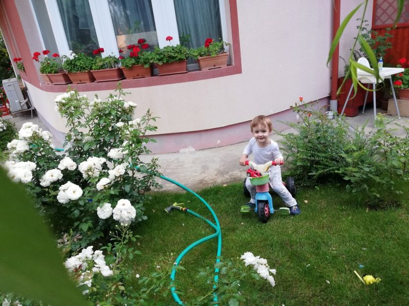  - AA - In  gradina mea