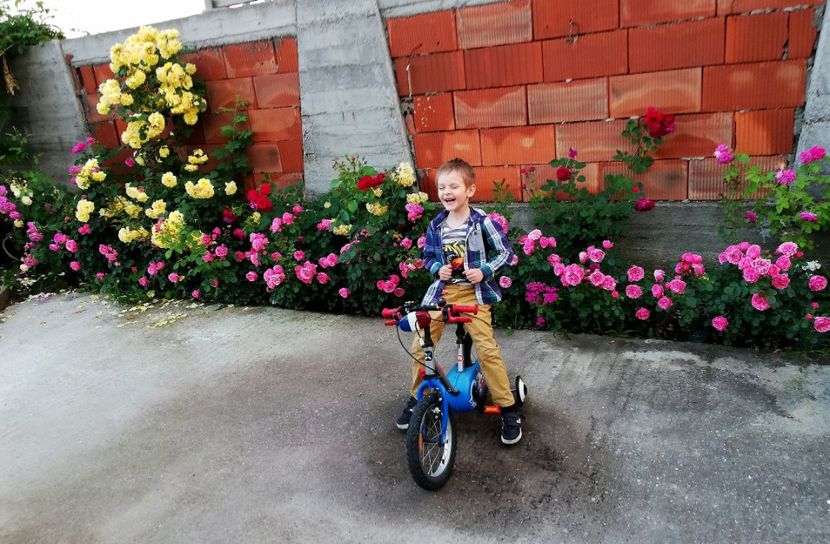  - AA - In  gradina mea