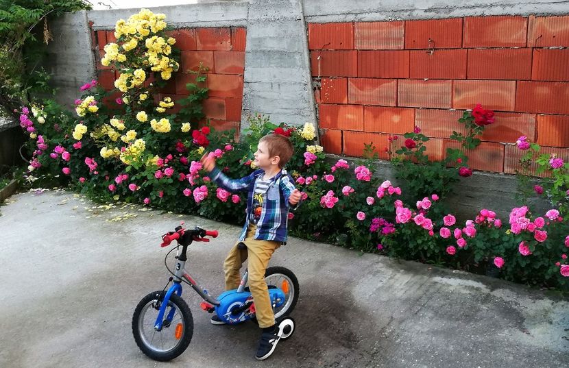  - AA - In  gradina mea