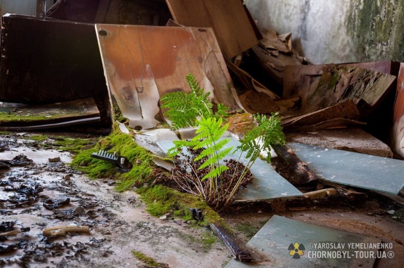 Chernobyl 2019 - Chernobyl 2019