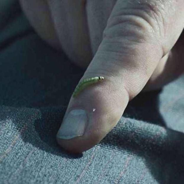 Chernobyl 2019 - Chernobyl 2019