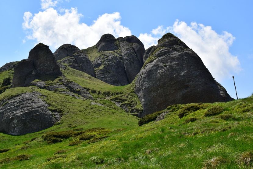  - 6666666666666   HOBBY-URI