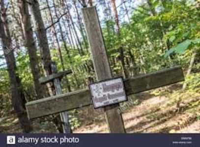 Chernobyl 2019 - Chernobyl 2019