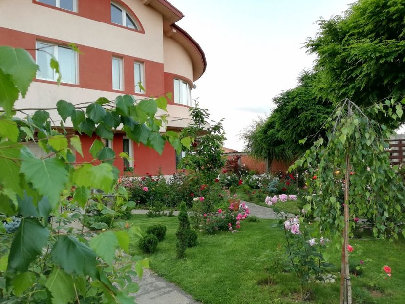  - Cum a evoluat gradina mea