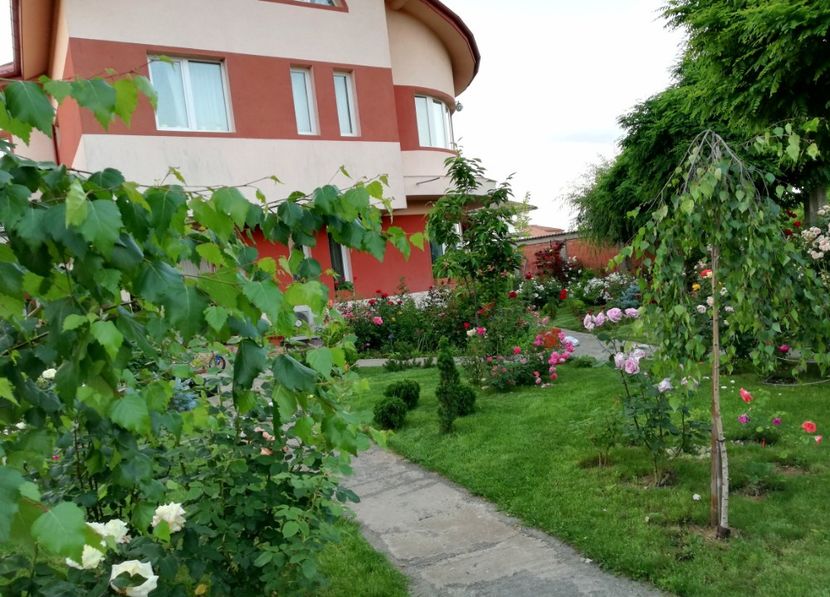  - Cum a evoluat gradina mea