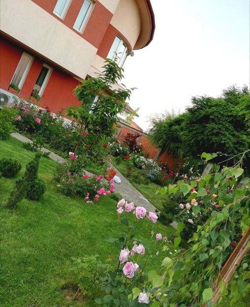  - Cum a evoluat gradina mea